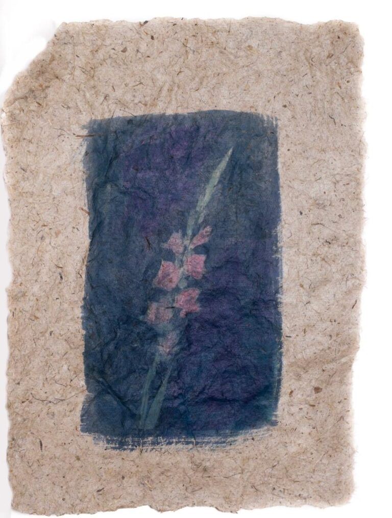 Meditations on Flowers