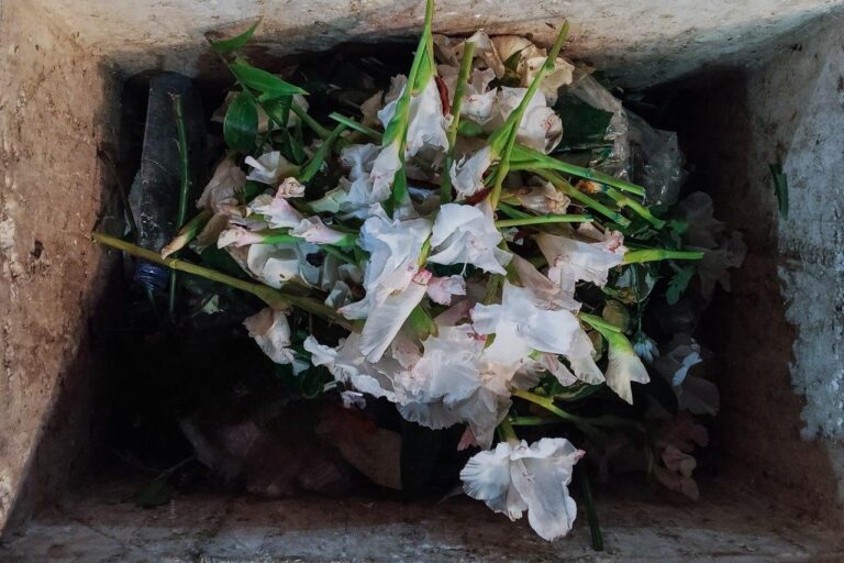 Meditations on Flowers
