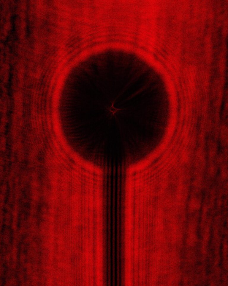 Untitled, Digital Photography, Inkjet Print on Archival Paper, 40 x 50 cm, 3 Edition + 1 AP,  2022