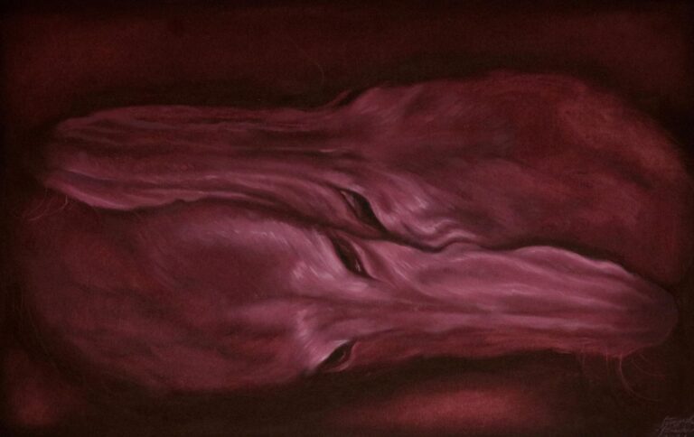 Untitled, Oil on canvas, 53 x 84 cm, 2026