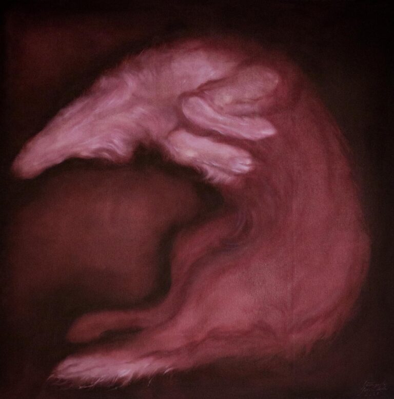 Untitled, Oil on canvas, 80 x 80 cm, 2026