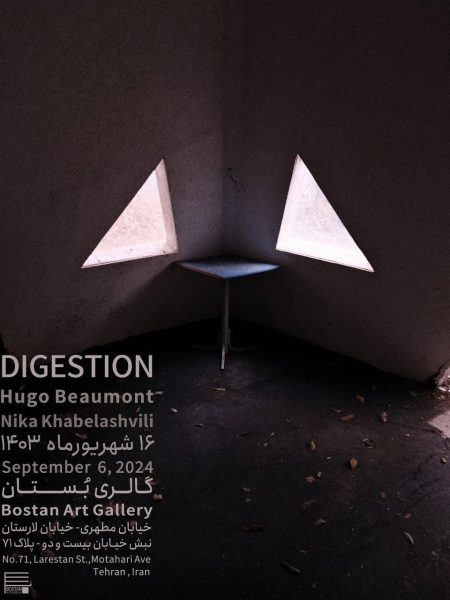 DIGESTION POSTER